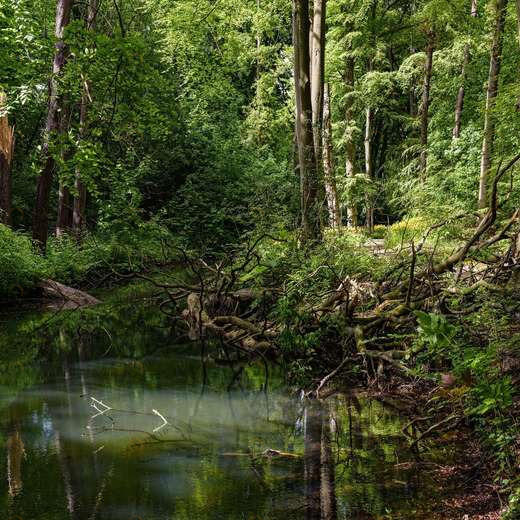 WP00184 Фотообои Verol Фотообои decoline 1х1 м