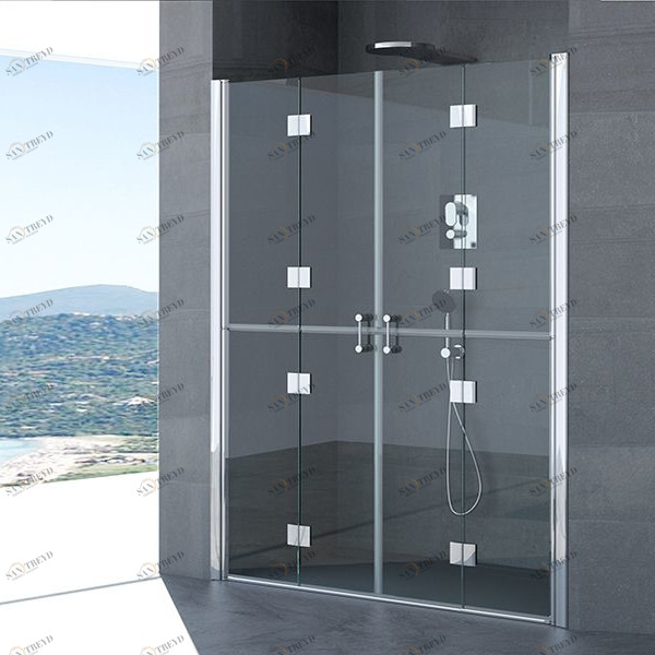 Двери в нишу ELISABETTA 160 см CSA Box Doccia 158H