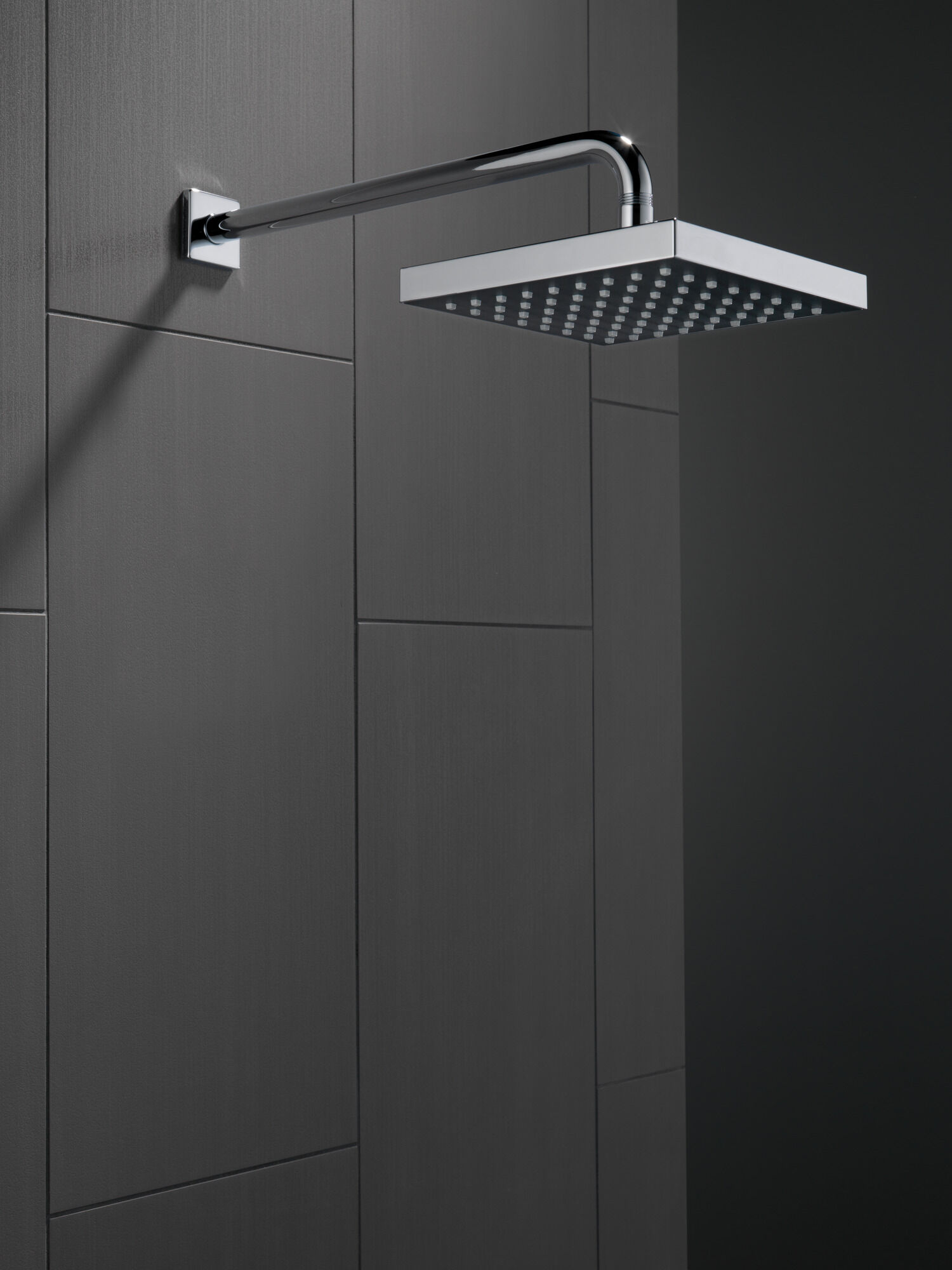 52481-SS Душевая лейка Raincan с одинарной настройкой Delta Faucet Universal Showering Нержавеющая сталь  - Вид №2