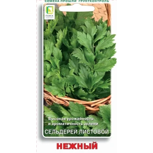 Семена овощей Поиск сельдерей листовой Нежный