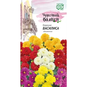 ГАВРИШ Георгина Василиса — яркий однолетник для балконов и сада 83606921