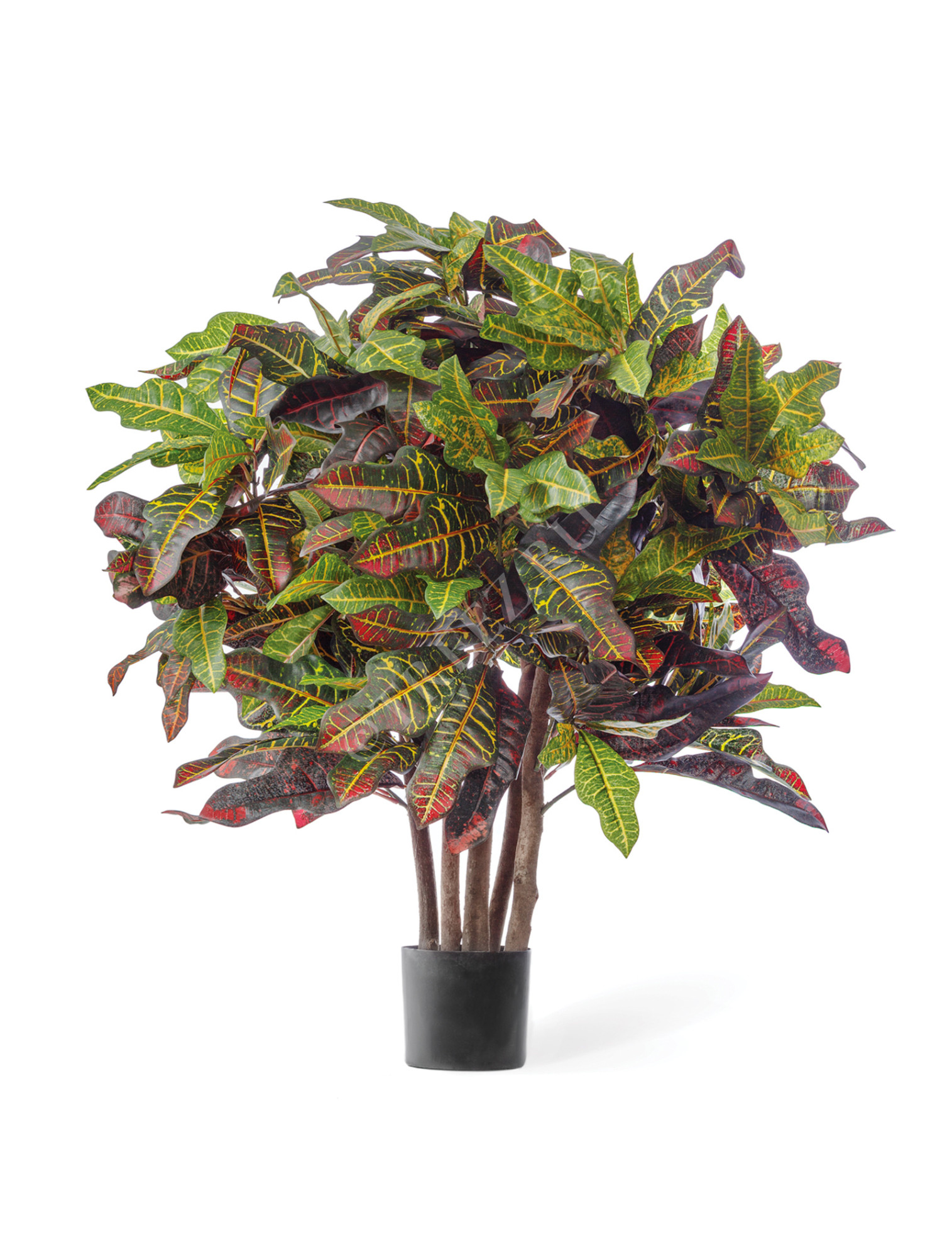 10.37703N Кротон Шар Цветочная коллекция 