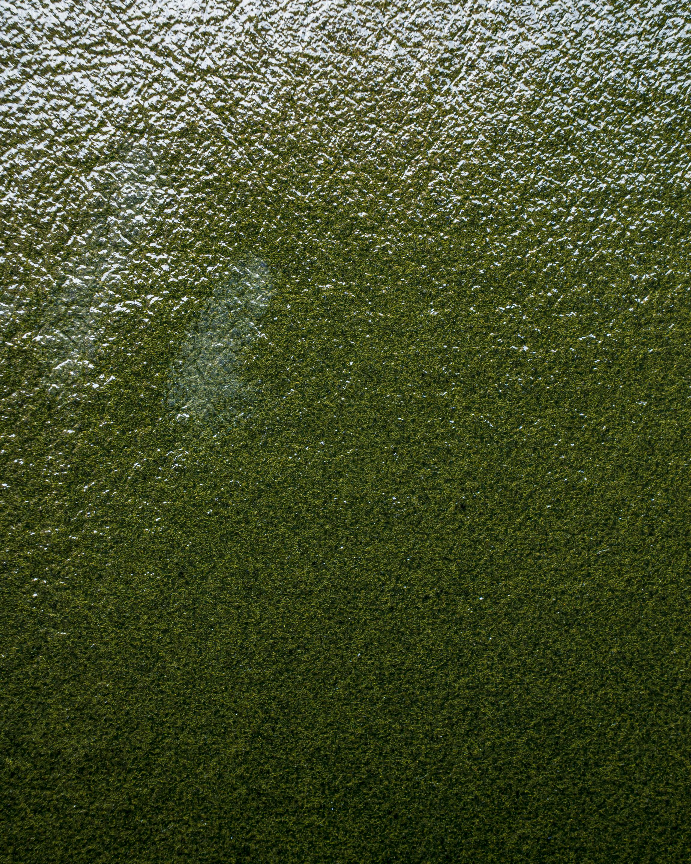 Однотонная ткань из шерсти, льна и полиамида The House of Lyria MANGIGA ARCH-00035591 - Вид №2