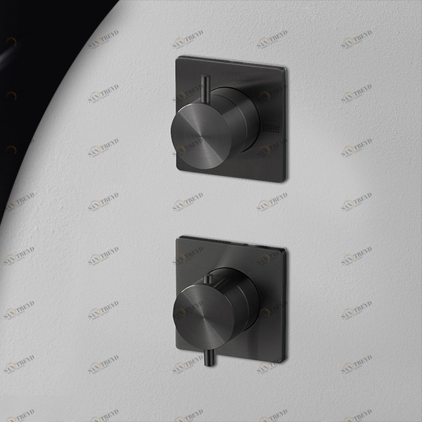 Термостат для душа карбон AICO Radomonte TER92C