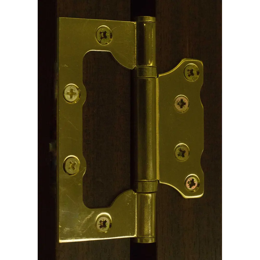 18551476 Петля без врезки Punto 200-2B/HD 75x2.5 мм цвет матовое золото STLM-0011294 Santreyd  - Вид №3