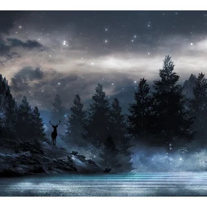 Фотообои Туманная ночь флизелиновые, 300x270 см, L13-206