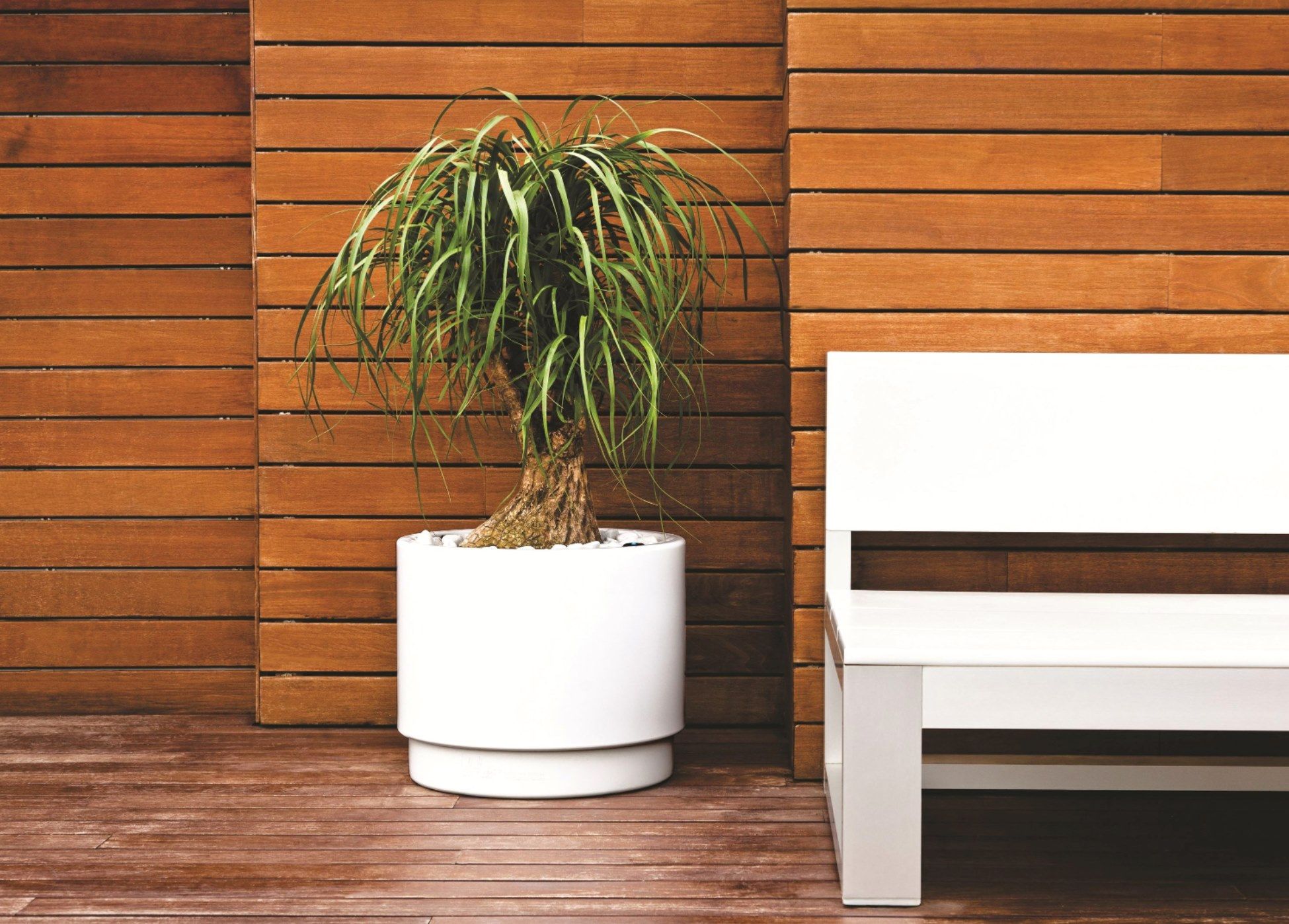 Поли горшок держатель с автоматическим поливом In Stock Hobby Flower ARCH-00076324 - Вид №1