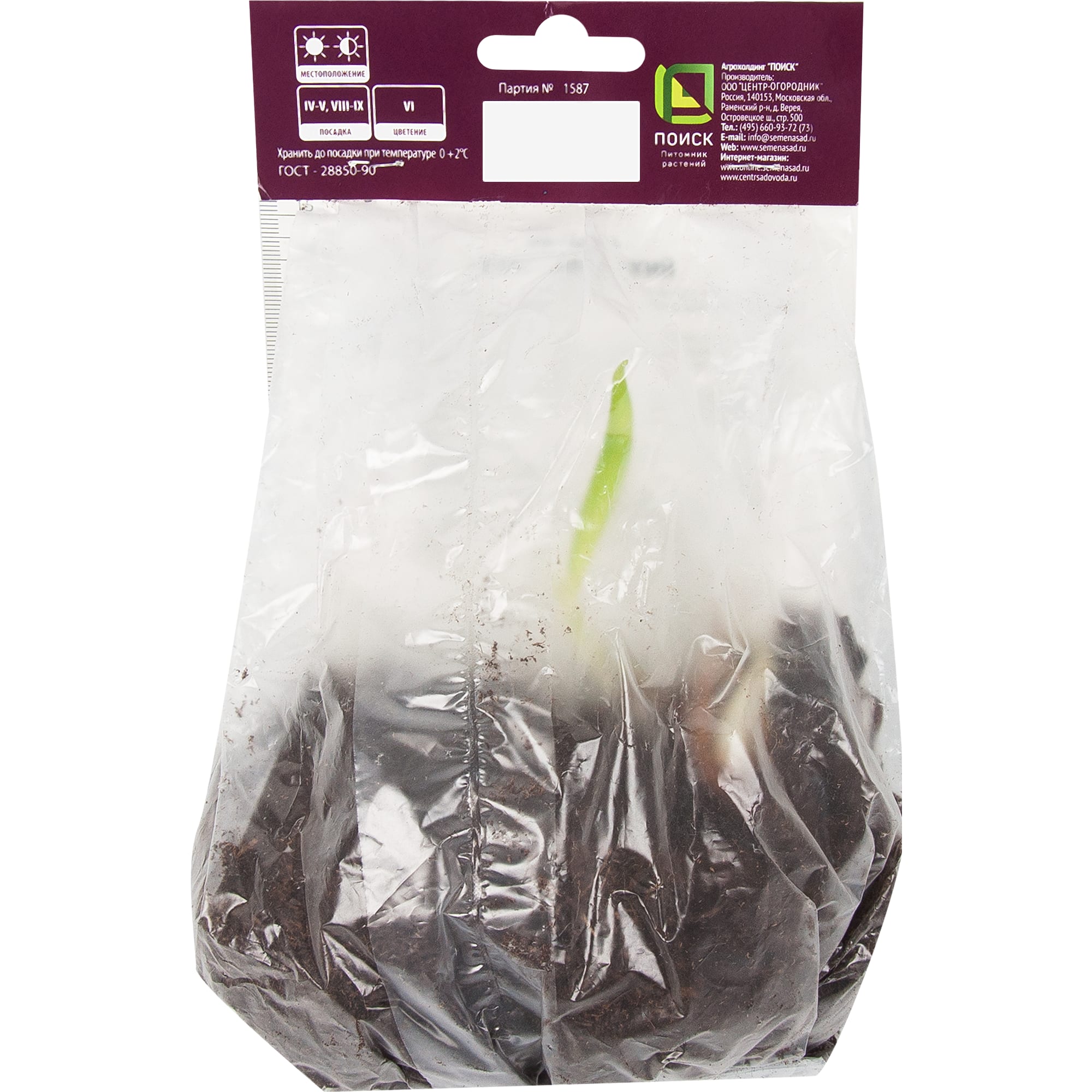 82319549 Ирис сибирский «Мун Силк», размер луковицы I Santreyd  - Вид №1