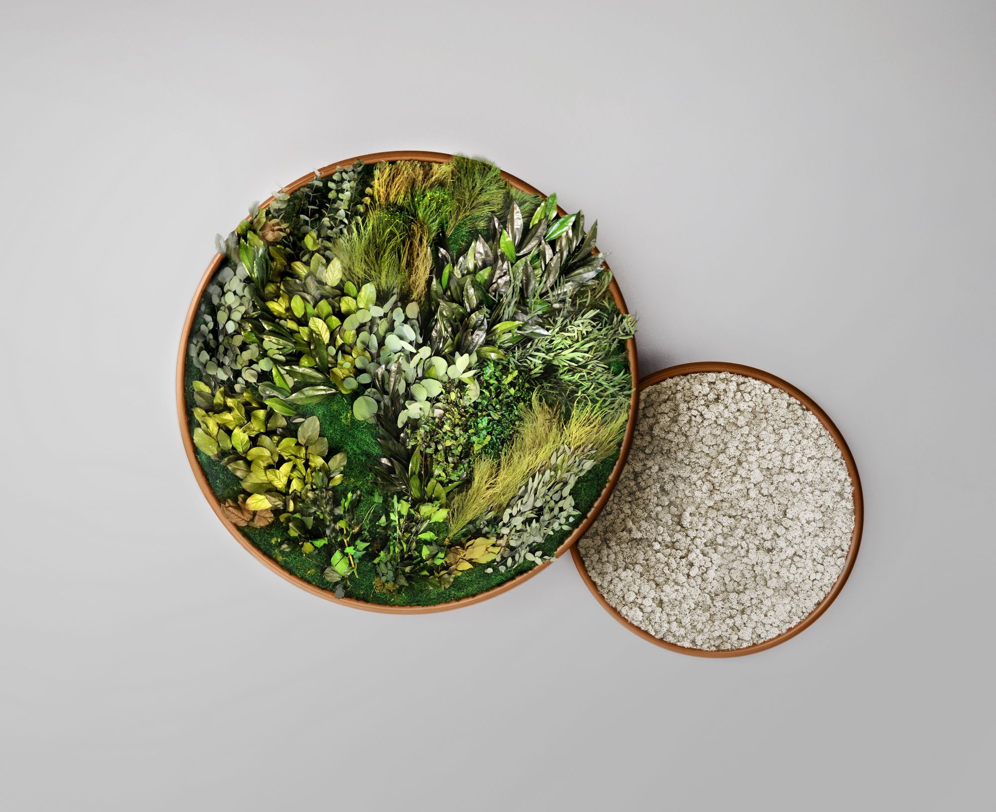 Растительная картина в стабилизированных растениях GREENMOOD G-Line ARCH-00117298 - Вид №8