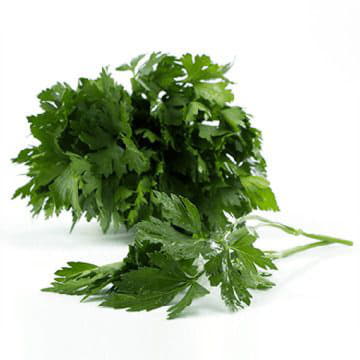 Петрушка Santreyd 1867 - Вид №1