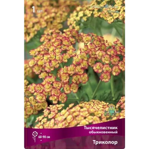 Тысячелистник обыкновенный Триколор 86410486 STLM-2166231