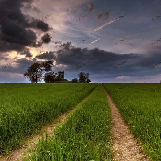 WP02068 Фотообои Verol Фотообои decoline 1х1 м