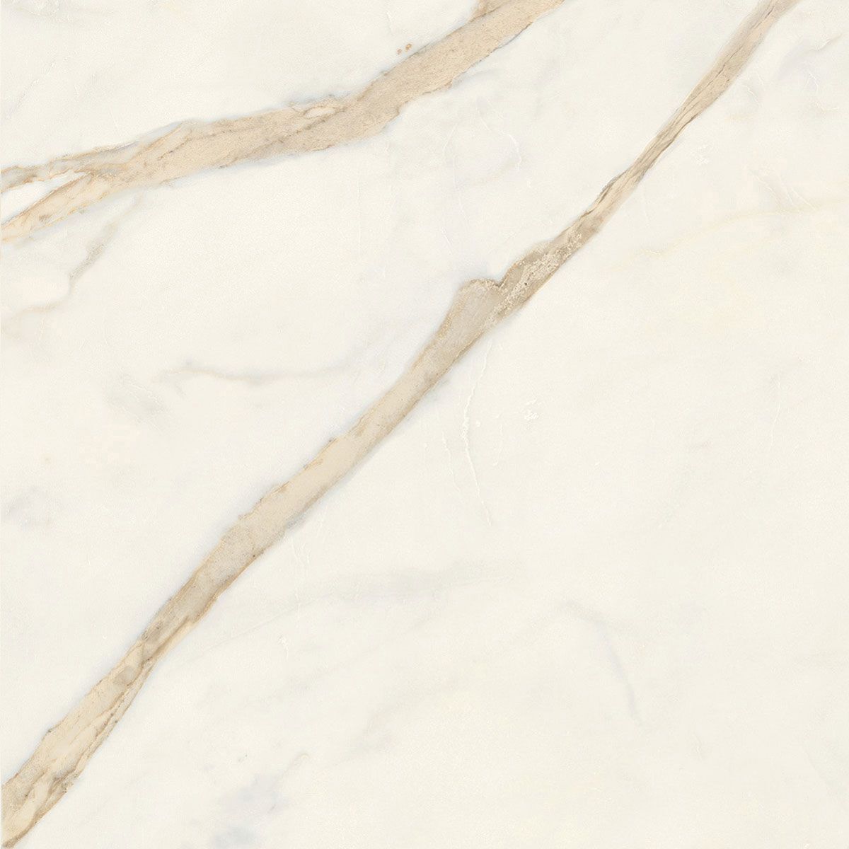 Пол / керамогранит с мраморным эффектом Italgraniti Marble Touch ARCH-00152884 - Вид №63