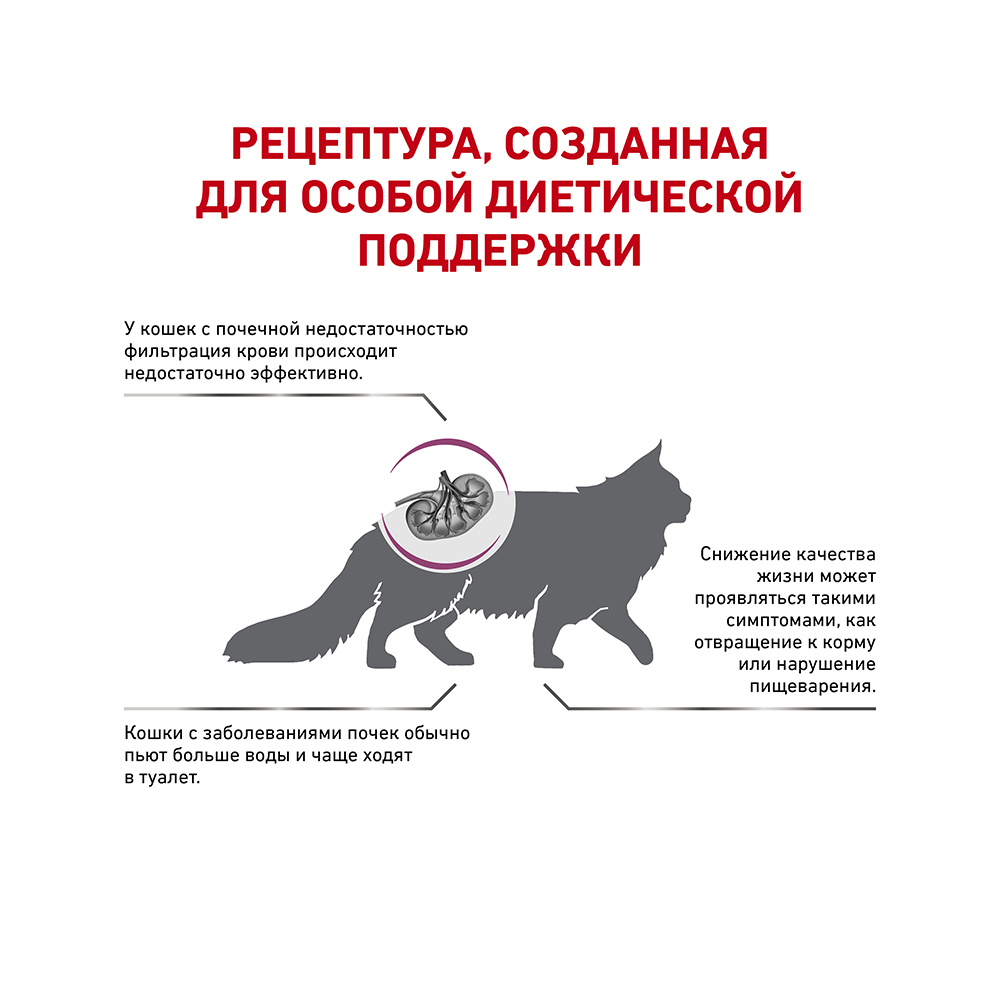 ПР0053533 Корм для кошек Vet Diet Renal Select при хронической почечной недостаточности сух. 2кг ROYAL CANIN  - Вид №2
