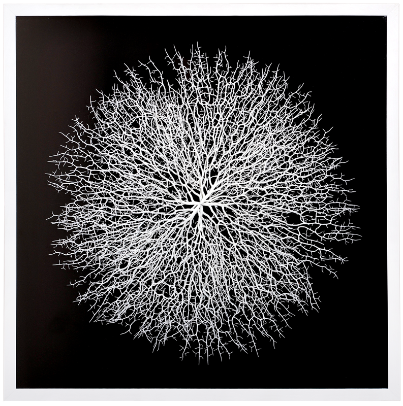 36931 Панно "Легкий шелест 2" LAB.Space  - Вид №1