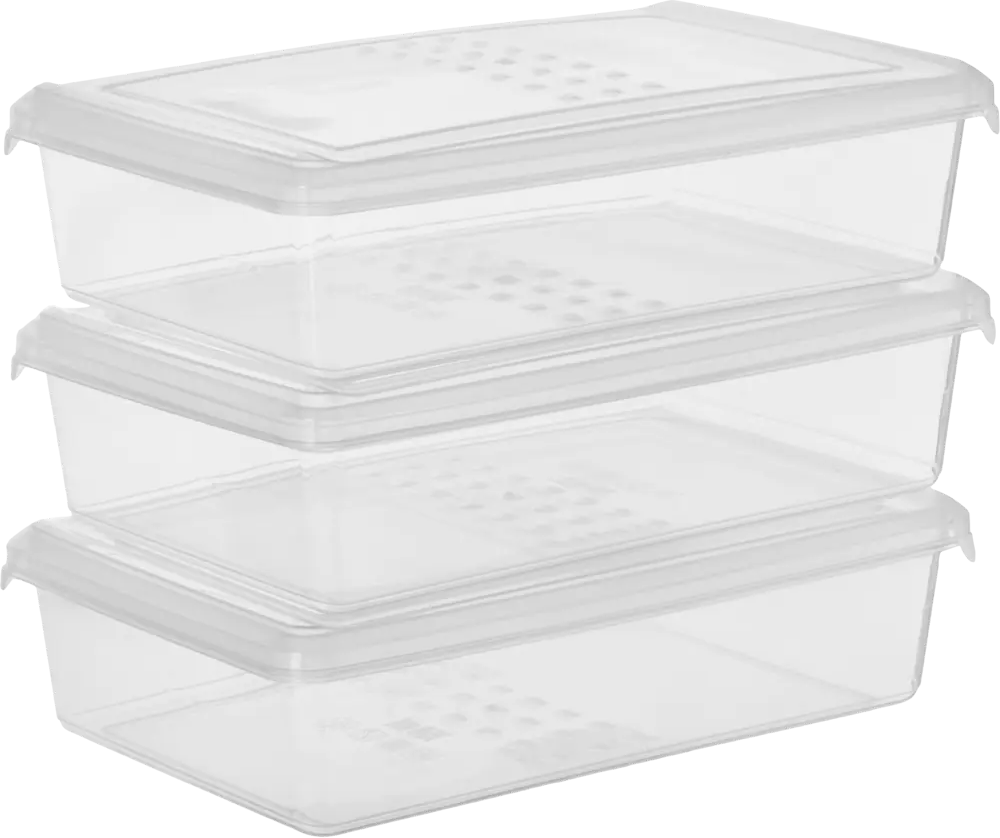 Контейнеры для заморозки DELINIA 0.75 л, 3 шт - свежесть под надежным контролем 86154522