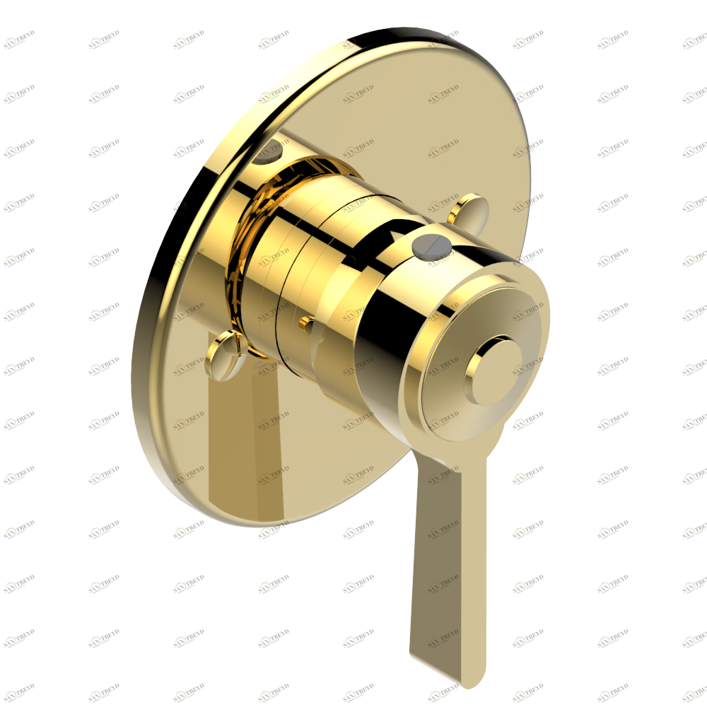 G69-6540B Внешняя часть смесителя для душа однорычажного встраиваемого в стену 06540 Thg-paris Spirit Золото G69 6540B CAT.F