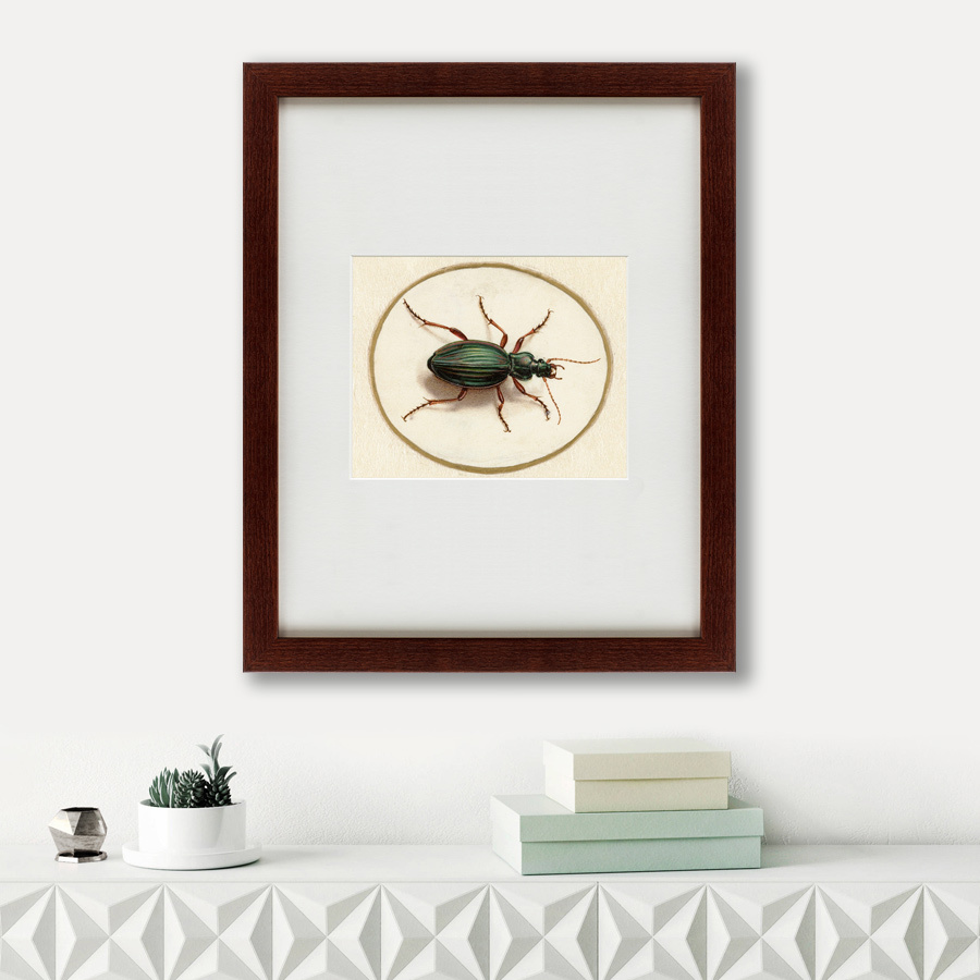 Литография на тонированной бумаге 42х52 см Beetle, 1700 КАРТИНЫ В КВАРТИРУ  135751 Белый;коричневый;разноцветный  - Вид №1