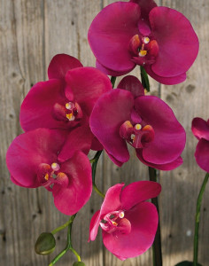 2506 299 a3 Искусственная орхидея Phalaenopsis, 2-х кратная, горшечная, 80 см, real touch, антично-темно-фиолетовый H-andreas