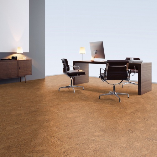 Пробка Wicanders Eco Cork Accent (Гладкая) 600х300 мм DN17002 - Вид №43