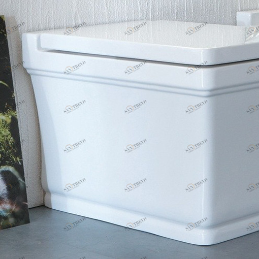 NE00200001 Приставной унитаз напольный Белый Disegno Ceramica NEO Италия