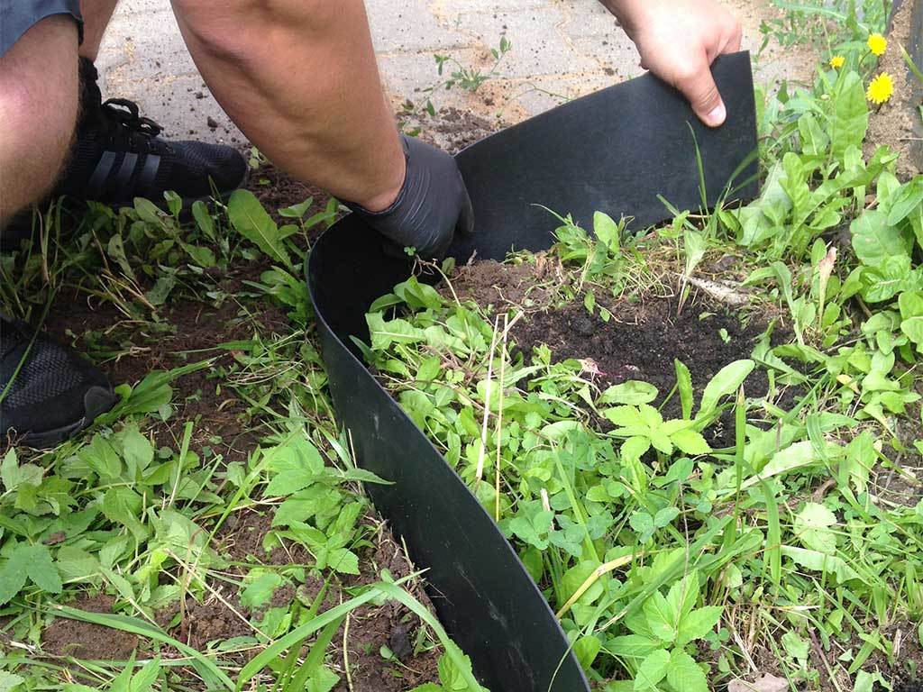 Лента бордюрная 750 мм x 10 м, 2 мм ГеоПластБорд GPBST-55 - Вид №6