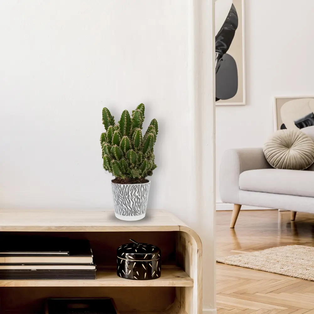 Горшок цветочный Ingreen Easy Grow ø16 h14.6 см v2 л пластик белый/чёрный Фиджи декор STLM-2036460 - Вид №2