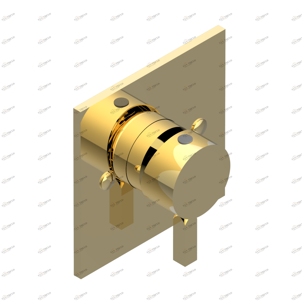 G1T-6540B Внешняя часть смесителя для душа однорычажного встраиваемого в стену 06540 Thg-paris Beluga Золото G1T 6540B CAT.F