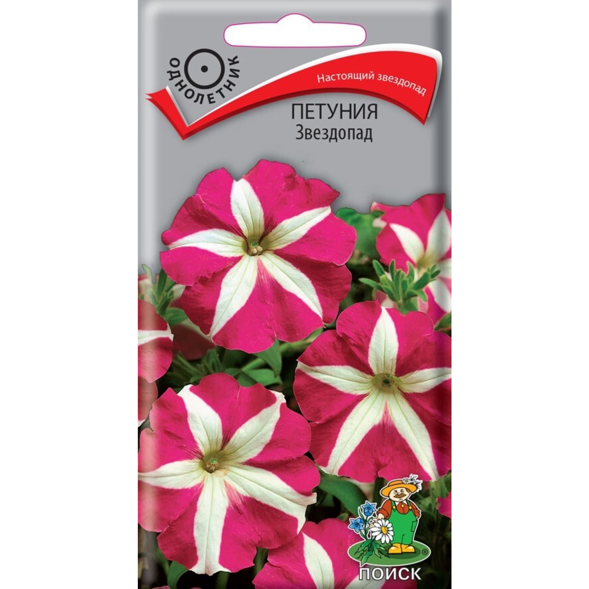 83227387 Семена Петуния «Звездопад» Santreyd 