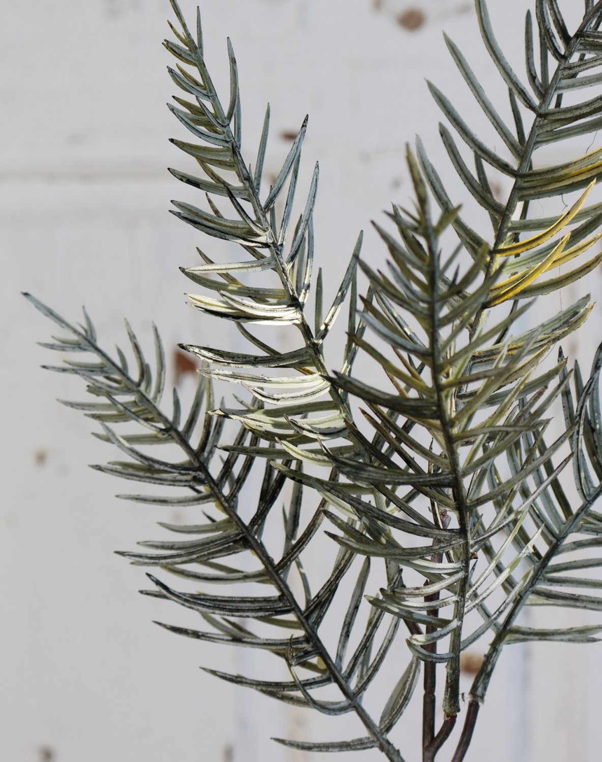 1161 888 a3 Ветка искусственного кипариса, 75 см, темно-зеленая H-andreas  - Вид №1