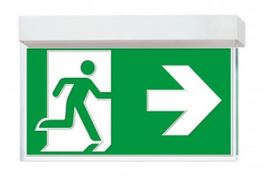 DST-2523 Virsc1608-p Daisalux Светильники сигнальные Белый