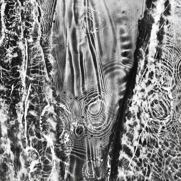 Арт-панель на холсте Alex Turco Liquid Dreams Cohesion In Silver COHESIONINSILVER