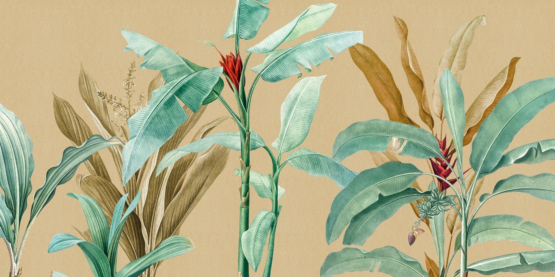 Тропические панорамные обои Rimura 2020 ARCH-00003216