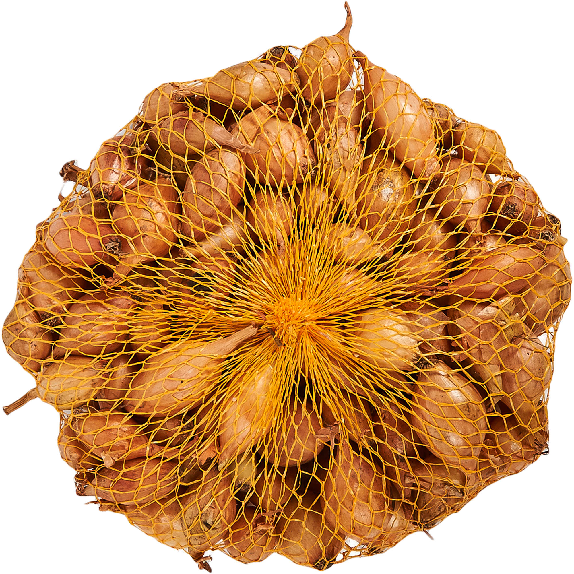 83275842 Лук-севок «Румба» 10/21, 0.35 кг Santreyd  - Вид №1