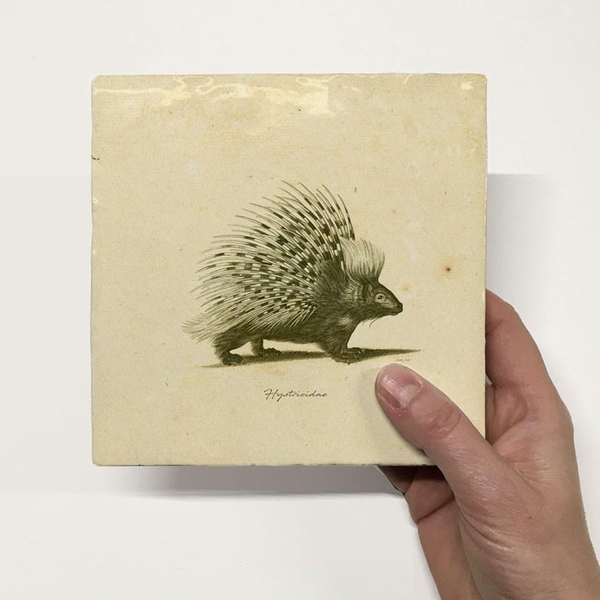 Groovy Magnets Настенный декоративный предмет из керамики Tiles M-tile-po - Вид №1