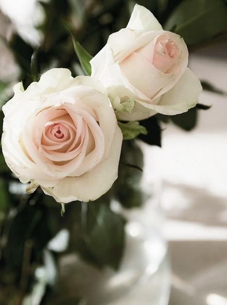 Callesella Arredamenti Деревянная кухня с островом Every day sun-id-1410804 - Вид №12