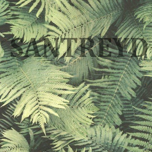 860917 Обои Rasch Barbara B.II