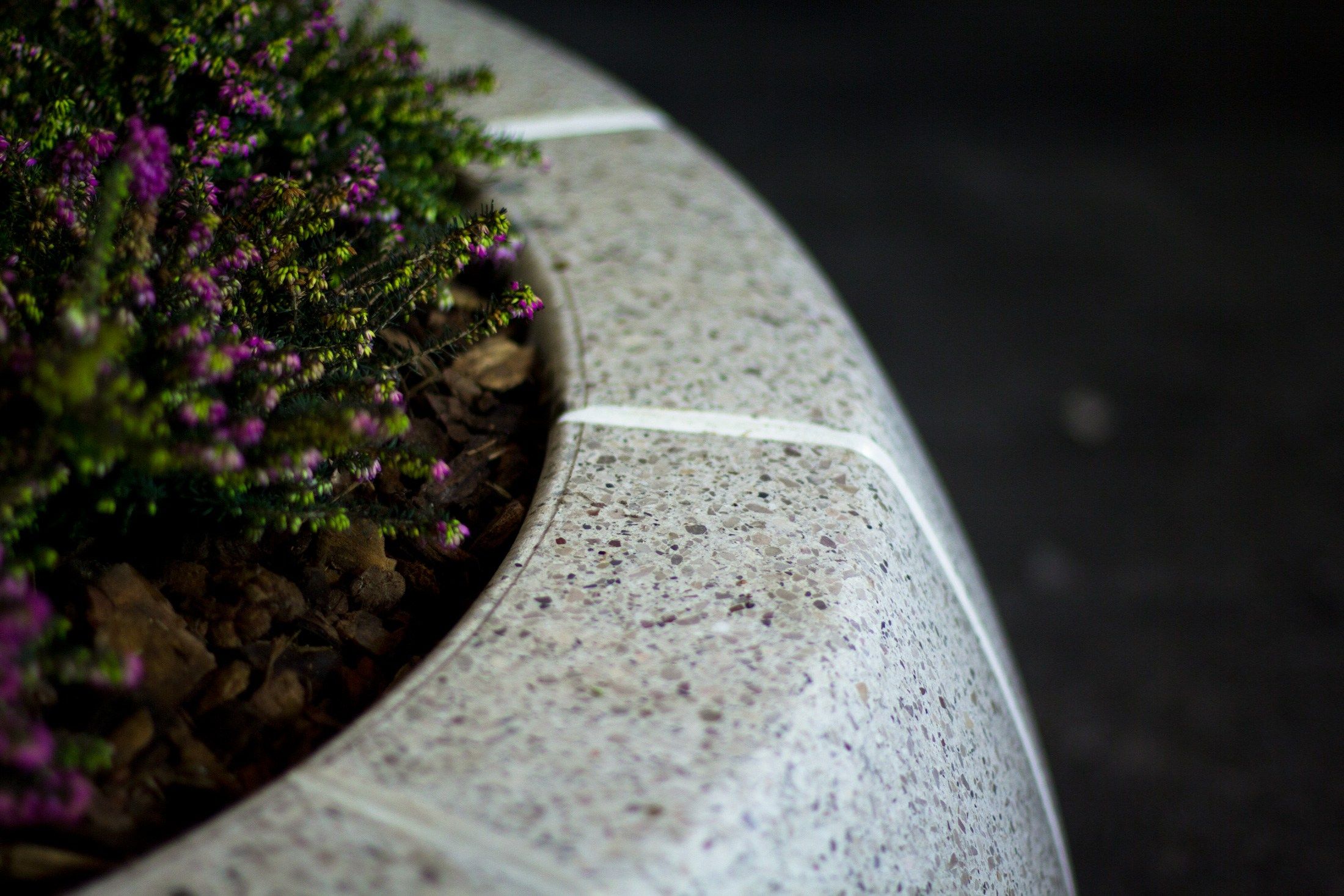 Вазон Bellitalia кольцо ARCH-00092083 - Вид №2