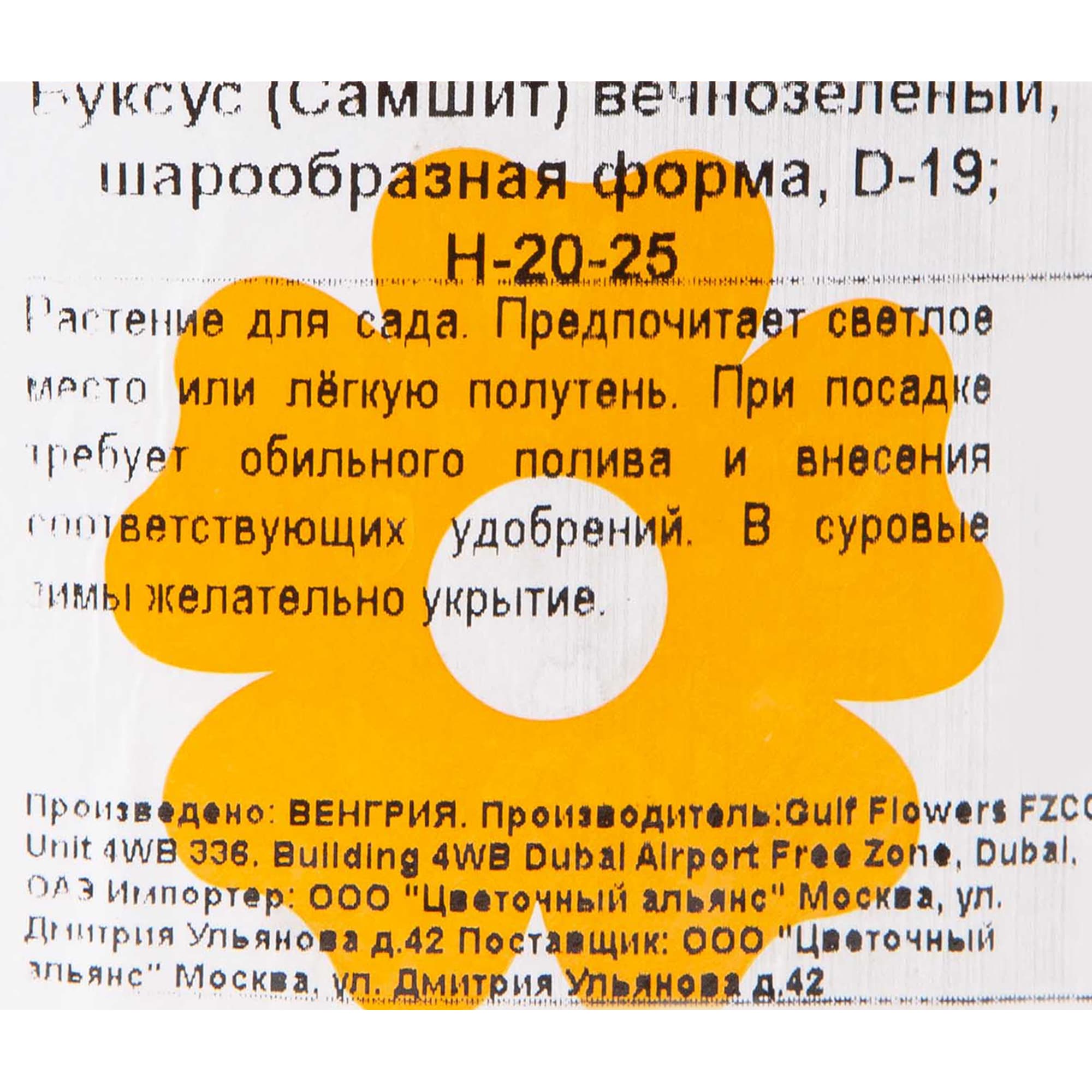 82601598 Буксус форма шар 19x20 см Santreyd  - Вид №1