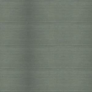 Террасная доска TerraPol Заборная доска 110 Анис (Рельефная) 2400х58 мм.