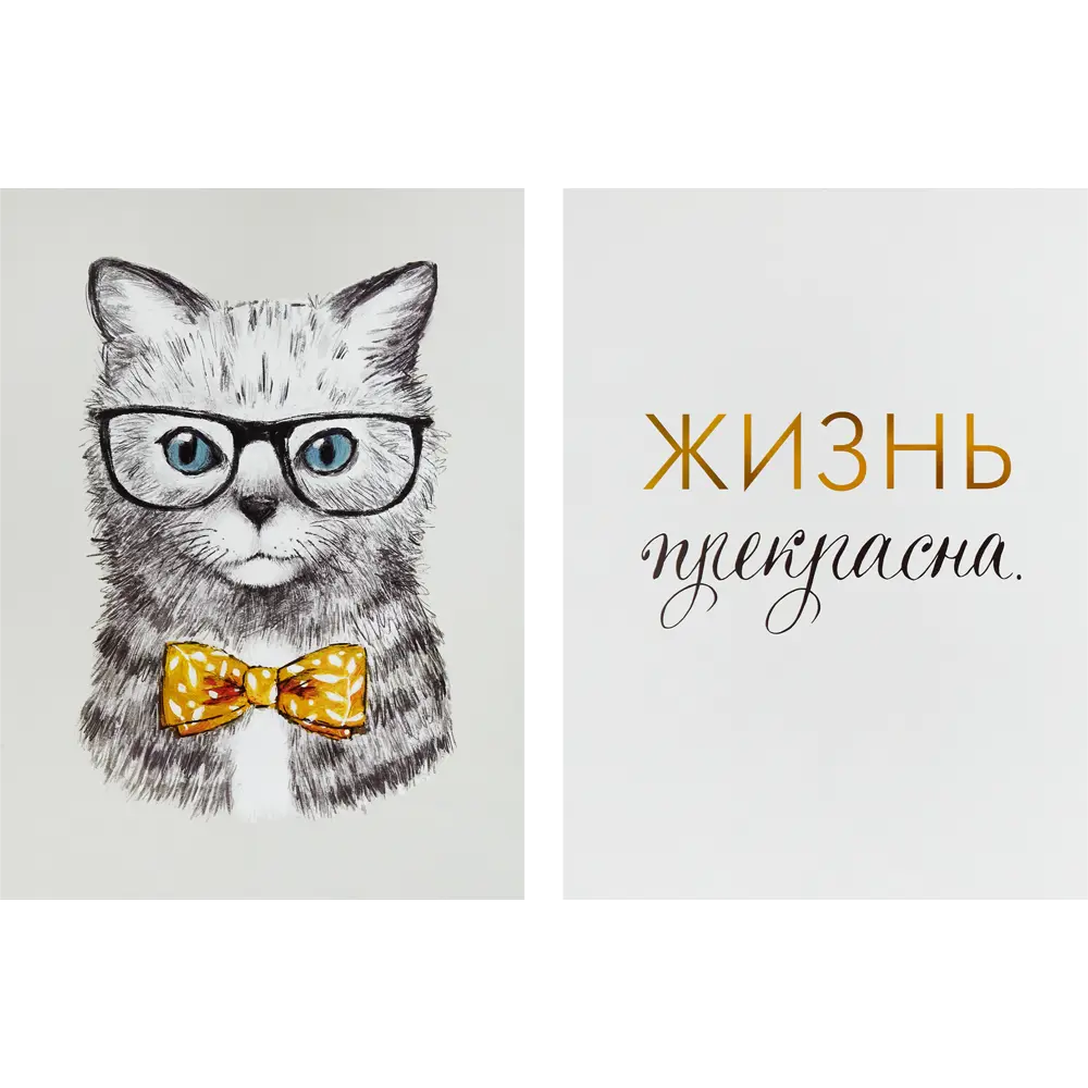 Постер Арт дизайн Коту виднее 30x40 см 2 шт STLM-2160418