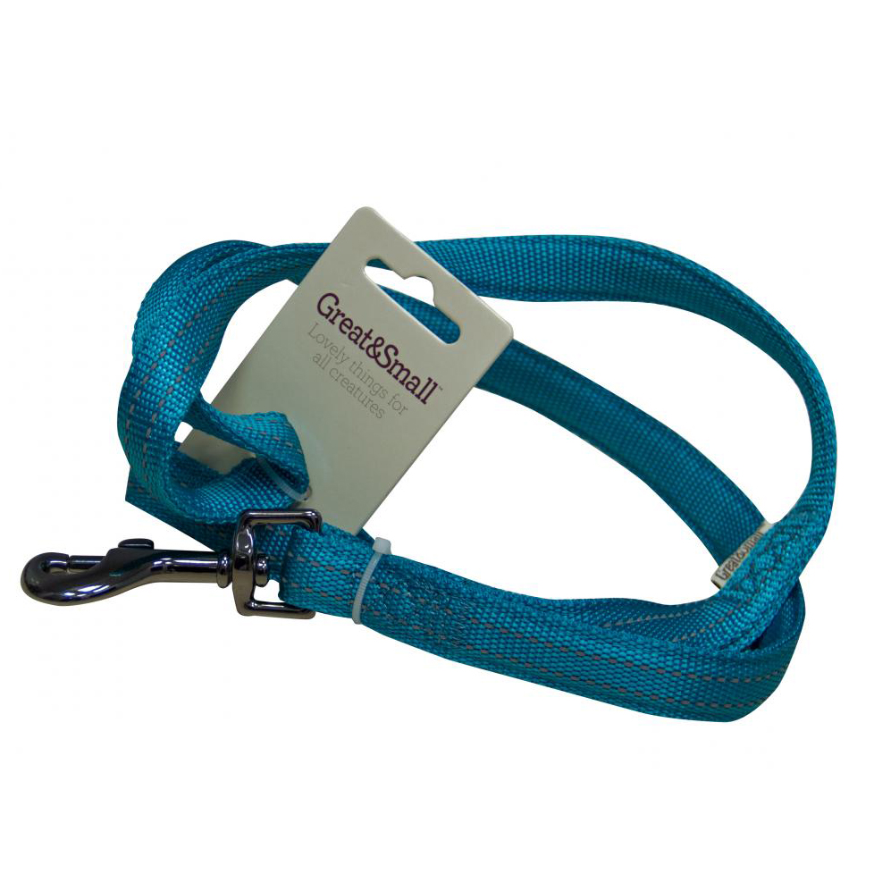 ПР0043604 Поводок для собак со светоотражающей острочкой 10х1200мм нейлон бирюзовый Great&Small 