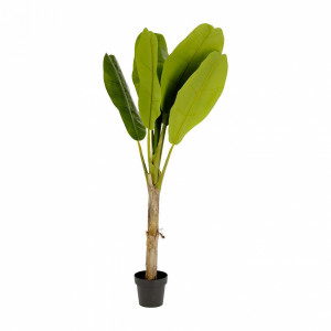 081750 Flower Искусственное банановое дерево 160см La Forma Banano