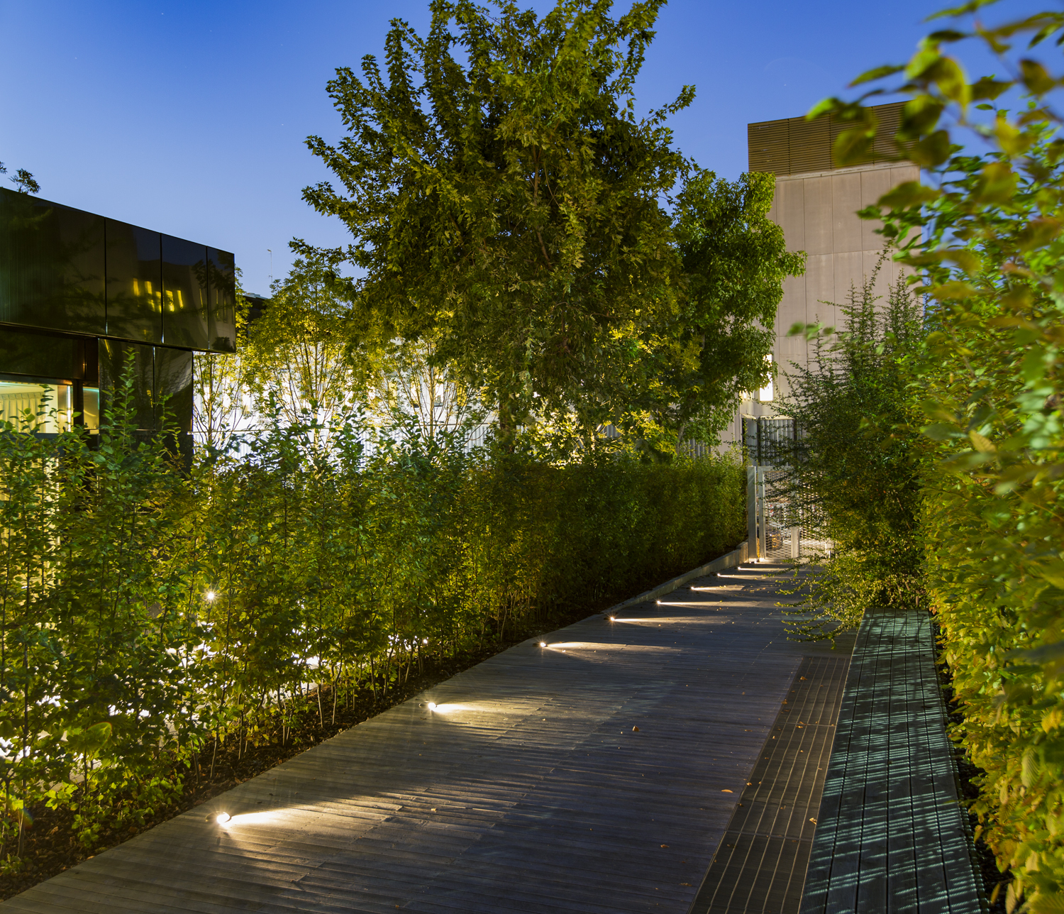 8409716 Настольный встаеваемый светильник Platek MINI Luce radente  MINI Roll Over - LED 3000K 2 Openings  - Вид №4