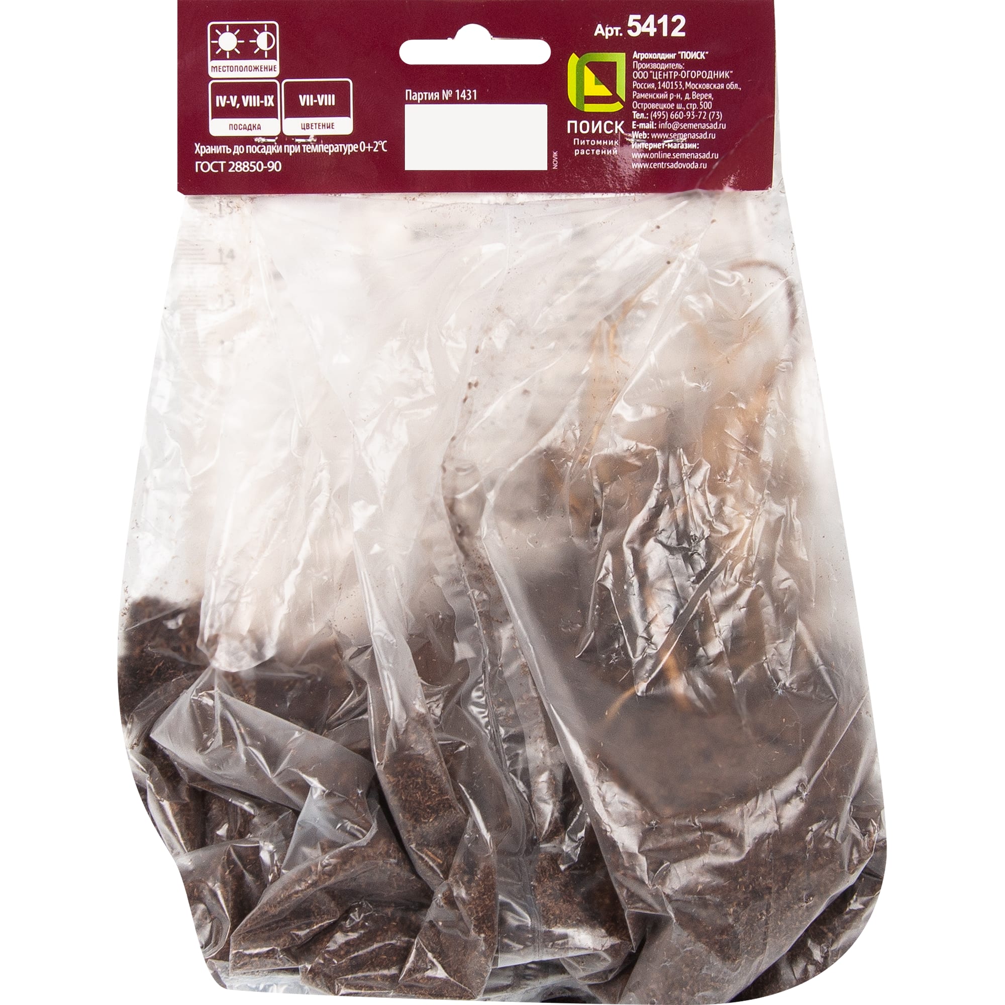 82319598 Хоста гибридная «Леди Гиневера», размер луковицы I Santreyd  - Вид №1