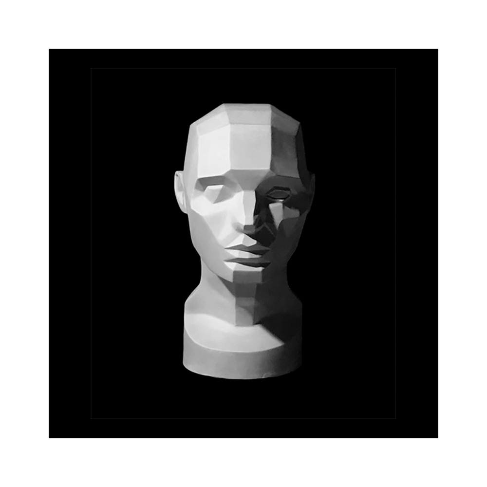 10-172 Обрубовка головы по Асаро гипс 17х23х33.5 см Santreyd 