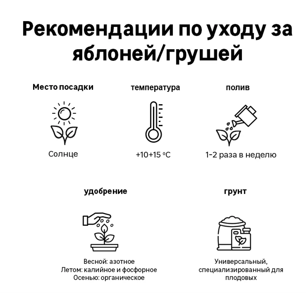 Яблоня колонновидная Московское ожерелье h200 см в сетке Поиск Инвест 84399310 STLM-2123266 Santreyd  - Вид №3