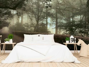 Creativespace Моющиеся обои с пейзажами Bio-spring - capsule 2019