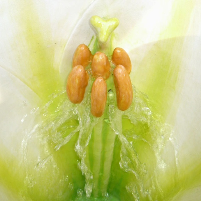 48677 Настенный писсуар, уринал с мушкой Clark Made Urinal - Вид №1