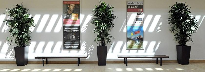 Euroform W Деревянная скамейка без спинки sun-id-1361795 - Вид №1